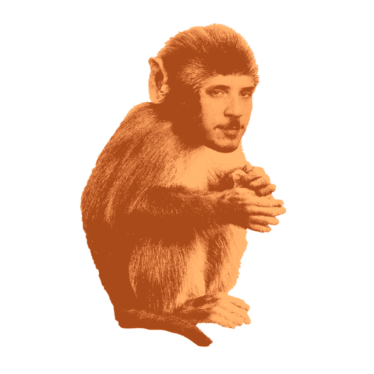 Abel Csendes simpanssina.